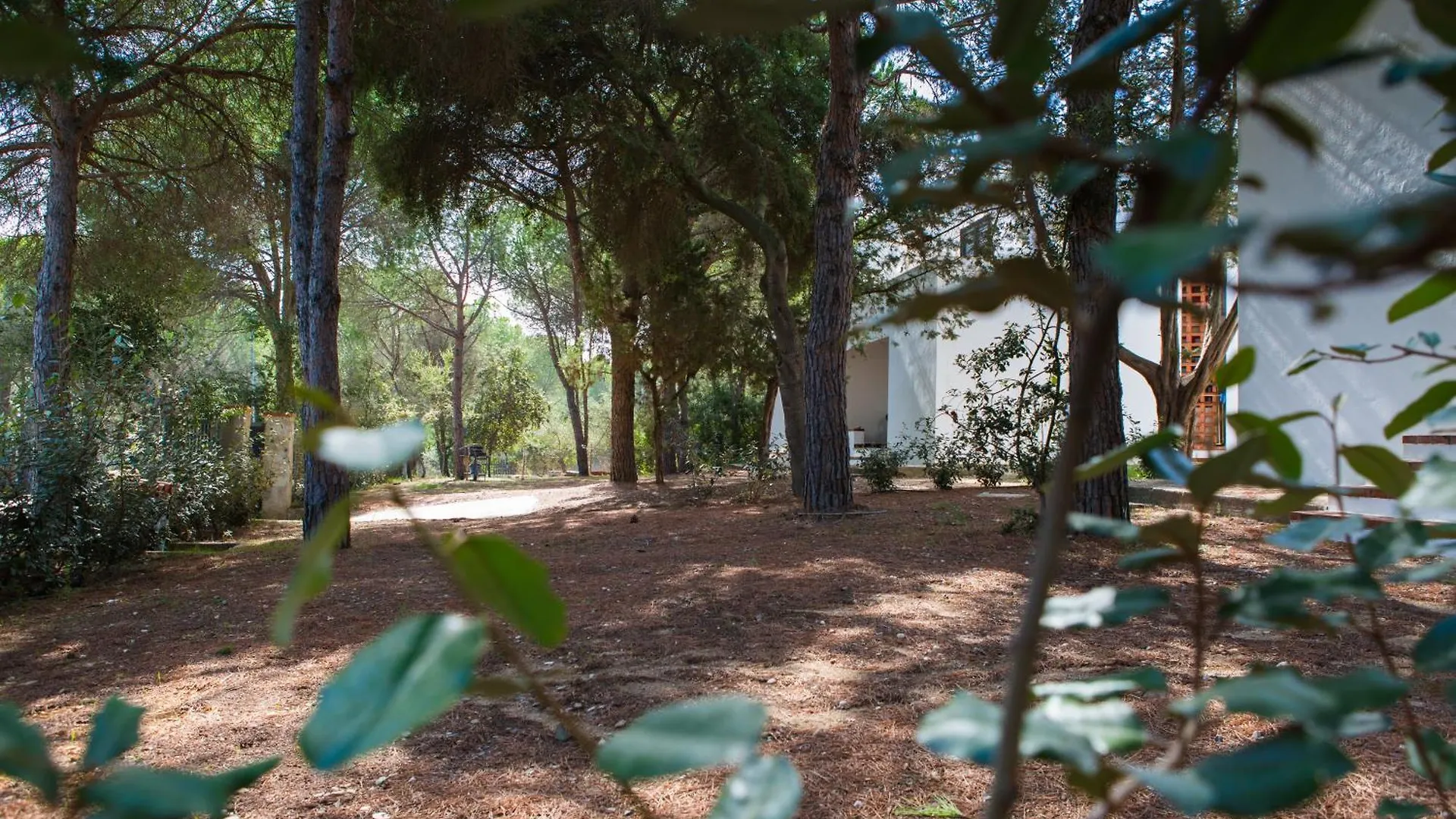 Le Case Bianche Orosei